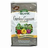 Photos of Gypsum Organic Photos of Gypsum Organic